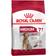 Royal Canin Medium Adult 7+ 4kg