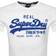 Superdry Standard Weight Vintage Logo Chenille T-shirt - Optik