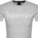 Superdry Core Logo T-shirt - Mottled Ice