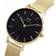 Daniel Wellington DW Watch Petite Evergold 28mm Gold