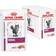 Royal Canin Renal Loaf