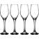 Ravenhead Majestic Champagne Glass 21cl 4pcs