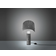 Artemide Shogun Bordlampe 59.5cm