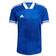 Adidas Condivo 20 Jersey Men - Royal Blue/White