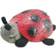 Cloud B Twilight Ladybug Natlampe