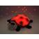 Cloud B Twilight Ladybug Night Light