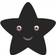 Roommate Star Hook