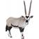 Oryx Antelope 12cm