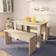 vidaXL 244866 Bordgruppe 59x120cm 3stk
