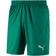 Puma Liga Core Shorts Men - Pepper Green/White