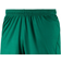 Puma Liga Core Shorts Men - Pepper Green/White