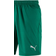 Puma Liga Core Shorts Men - Pepper Green/White