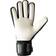 Uhlsport Supersoft HN Flex Frame Goalkeeper Gloves