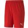 Puma teamGOAL 23 Knit Shorts Men - Red