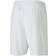 Puma teamGOAL 23 Knit Shorts Men - White