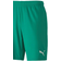 Puma teamGOAL 23 Knit Shorts Men - Pepper Green