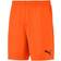 Puma teamGOAL 23 Knit Shorts Men - Golden Poppy