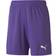 Puma teamGOAL 23 Knit Shorts Kids - Prism Violet