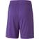 Puma teamGOAL 23 Knit Shorts Kids - Prism Violet