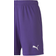 Puma teamGOAL 23 Knit Shorts Kids - Prism Violet