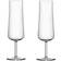 Orrefors Informal Champagne Glass 22cl 2pcs