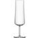 Orrefors Informal Champagne Glass 22cl 2pcs