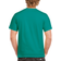 Gildan Classics Short Sleeve T-shirt - Jade Dome