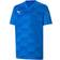 Puma teamFINAL 21 Graphic Jersey Kids - Electric Blue/Team Power Blue