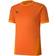 Puma teamGOAL 23 Jersey Men - Golden Poppy/Flame Orange