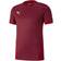 Puma teamGOAL 23 Jersey Men - Cordovan/Chili Pepper