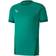 Puma teamGOAL 23 Jersey Men - Pepper Green/Power Green