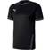 Puma teamGOAL 23 Jersey Men - Black/Asphalt