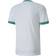 Puma teamGOAL 23 Jersey Men - White/Pepper Green