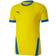 Puma teamGOAL 23 Jersey Men - Cyber Yellow/Electric Blue