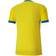 Puma teamGOAL 23 Jersey Men - Cyber Yellow/Electric Blue