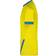 Puma teamGOAL 23 Jersey Men - Cyber Yellow/Electric Blue