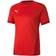 Puma teamGOAL 23 Jersey Men - Red/Chili Pepper