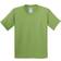 Gildan Heavy Cotton T-Shirt Pack Of 2 - Kiwi (UTBC4271-66)