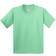 Gildan Heavy Cotton T-Shirt Pack Of 2 - Mint Green (UTBC4271-161)