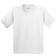 Gildan Heavy Cotton T-Shirt Pack Of 2 - White (UTBC4271-146)