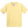 Gildan Heavy Cotton T-Shirt Pack Of 2 - Yellow Haze (UTBC4271-151)