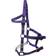 Kincade Unisex Nylon Padded Lunge Cavesson