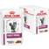 Royal Canin Early Renal