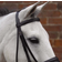 Hy Equestrian Padded Flash Bridle with Rubber Grip Reins