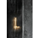 Flos Coordinates W2 Vægarmatur