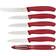 Victorinox Swiss Classic 6.7111.6G Schälmesser, Tomatenmesser