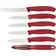 Victorinox Swiss Classic 6.7111.6G Set di Coltelli