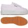 Superga 2790 Platform Sneaker - White Female