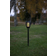 Star Trading Torch Flame Luci a Terra 42cm