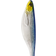 Westin ShadTeez 16cm Blue Headlight